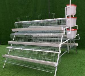 Conception de poulailler à cages superposées pour 25 000 poulets, ferme avicole avec équipement de cages à batterie entièrement automatique - Product Image 2