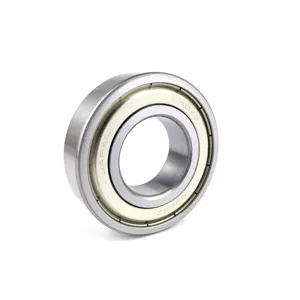 6007 ad alta temperatura in acciaio inox balinera 6302 6000 6300 6203 6301 6207 6306 6200 6006 2RS c3 cuscinetti a sfera a scanalatura profonda