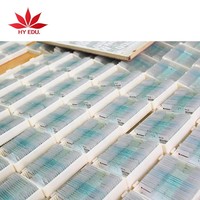 25 pieces of foreign trade special suit microscope prepared slides for biology class