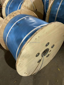 Offre Spéciale : Bobine d'acier au carbone galvanisé 7x19, formes rondes de 6mm à 12mm, à bon prix - Product Image 4