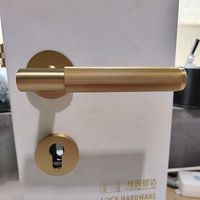 Fabricant de nouvelles poignées de porte d'intérieur double face avec serrures et charnières Poignées de porte en laiton