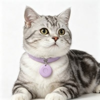 Traceur intelligent Bluetooth anti-perte pour animaux de compagnie, localisateur de clés pour chats et chiens, alarme bidirectionnelle, kit de vente en gros, boîte couleur, porte-clés