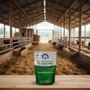 Adsorbente <span class=keywords><strong>de</strong></span> Toxinas <span class=keywords><strong>de</strong></span> Grado Alimenticio Lanchen para Ganado Vacuno y Ovino, Mejora la Inmunidad y la Absorción Intestinal - Product Image 2