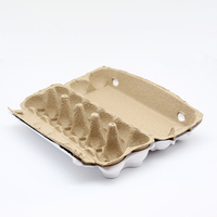 6 8 10 12 15 Trous Pâte à Papier Biodégradable Oeuf Carton Recyclable Pulpe Fibre Poulet Oeuf Plateau Couverture Boîte D'emballage Pour L'expédition
