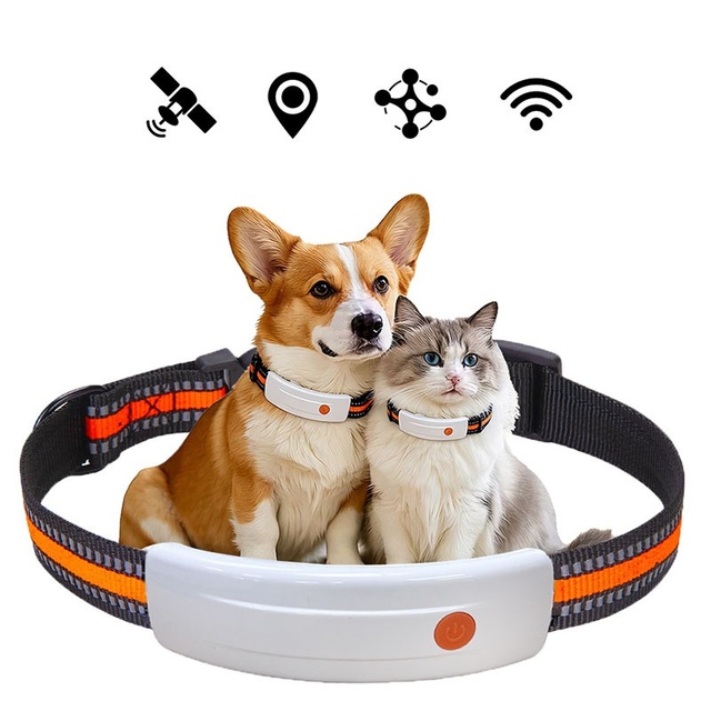 AI Smart Pet Heart Rate Health Monitor Anti-Lost Locator for Cats and Dogs