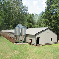 Poules pondeuses préfabriquées Fermes d'élevage de poulets Structure en acier Cage pour poules pondeuses Ferme avicole Cage pour poules pondeuses