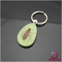 Porte-clés en résine avec de vrais insectes de grande taille et haute transparence, mettant en vedette la Veuve Noire