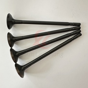 Hot bán ô tô hệ thống động cơ tự động van nạp 55282231 cho Jeep Fiat 1.3t - Product Image 2