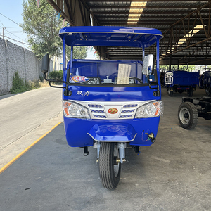 Triciclo Motorizado de Bajo Precio para Transporte, con Gran Potencia y Eficiencia de Combustible, Triciclo Agrícola de 3 Ruedas - Product Image 2