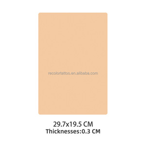 Pelle Sintetica in Silicone per Pratica Tatuaggi a Marchio Privato, Spessore 3mm, 20*15cm 20*30cm, Utilizzabile su Entrambi i Lati, Strumento Pratico per Trucco Permanente - Product Image 2