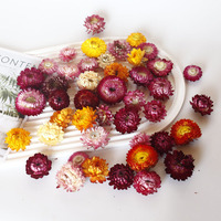 Daisy colorée tête de fleur séchée en gros bricolage matériel paquet paille chrysanthème vraie fleur matériel décoration