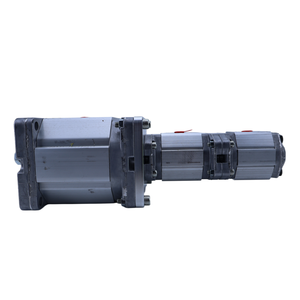 Bomba de Engranajes Hidráulicos Serie GP1 GP2 GP3 GP3F GP2F GP3F-0394R97F/20N+GP1M-0061RF/20N+GP1M-0041RF/20N - Product Image 6