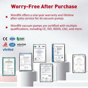 Wordfik vd400 कोई तेल शुष्क रोटरी वेन वैक्यूम पंप नहीं है cnc राउटर वुडवर्किंग मशीन 350 मबार उच्च प्रवाह वायु सक्शन - Product Image 2