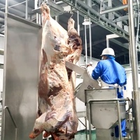 Projet clé en main d'abattoir industriel à grande échelle pour bovins, équipement de système de convoyeur automatique pour l'abattage