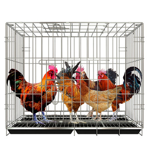 Jaula Plegable para <span class=keywords><strong>Gallinas</strong></span> Ponedoras, Gallinero Plegable Pequeño, Jaula Plegable para Cría de Aves de Corral, Jaula Plegable para <span class=keywords><strong>Gallinas</strong></span> Ponedoras Usada - Product Image 2