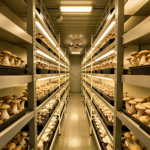 Sistema de Cultivo de Cogumelos em Contêiner Inteligente de Grau Comercial de 20/40 Pés - Product Image 5