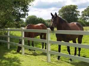 Valla de acero para caballos, cercado portátil flexible para caballos - Product Image 3