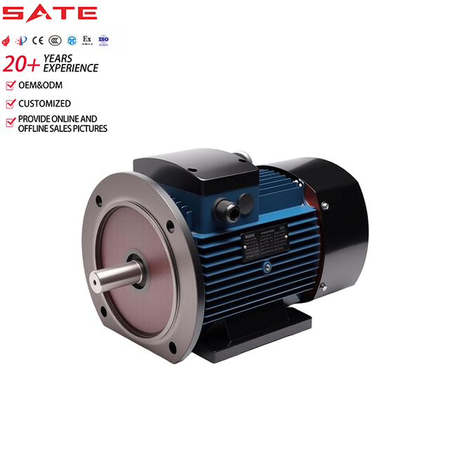 6 Pole Three Phase AC Electric Motor 0.25KW 380V 50/60Hz IE3 Efficiency IP55 Waterproof Adjustable Speed Copper Wire Motor