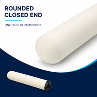 Filtre à eau en céramique en gros avec connecteur mâle noir pour pièces de rechange de purificateur domestique