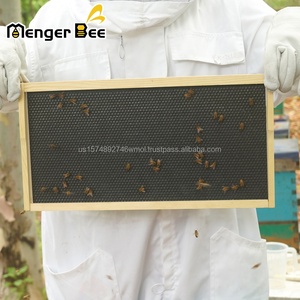 Customizable Wax Coating Medium Yellow Plastic Granulated Beeswax <b>Foundation</b> Bee Honeycomb Pale - Product Image 5