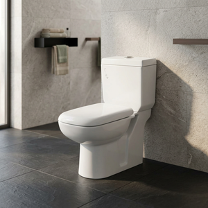 WC en céramique blanc premium, deux pièces, à poser, à double chasse, avec siphon en S - Product Image 2
