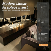 Insert de cheminée bioéthanol à flamme réelle personnalisé, autoportant, en acier inoxydable, pour intérieur et extérieur, avec télécommande, pour mur de fond de meuble TV