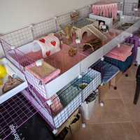 Loquet de porte de cage en fil métallique solide et simple pour cages de lapins, chats, chiens et autres animaux de compagnie, emballage en boîte
