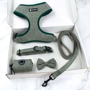 <span class=keywords><strong>Harnais</strong></span> <span class=keywords><strong>pour</strong></span> petit chien avec boucle à dégagement rapide maille respirante <span class=keywords><strong>pour</strong></span> teckel Frenchie <span class=keywords><strong>Yorkshire</strong></span> Dobermann caniche accessoires - Product Image 2