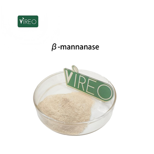 공장 공급 고품질 베타 만나나제 무료 샘플 베타 만나나제 효소 분말 - Product Image 1
