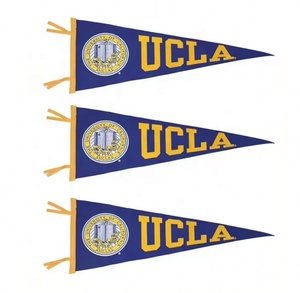 Profesional personalizable Impresión digital Universidad Fieltro Triángulo Banners Portátil Impermeable Ecológico - Product Image 1