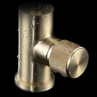 Robinet de cuisine monocommande moderne en laiton doré brossé avec cartouche céramique, à un seul trou, pour eau potable, avec filtre intégré