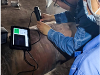 Services professionnels d'essai par ultrasons de méthode de différence de temps de diffraction
