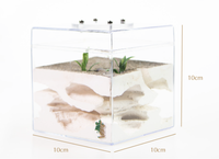 Résistant à la rupture et à la fuite Proofr Formicarium de nid de fourmis en acrylique