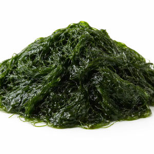 TW Maesaengi PDRN Complejo de Vitalidad Premium Derivado de Plantas para Materia Prima Cosmética, Energía para la Piel y Base para el Cuidado de la Piel Antifatiga - Product Image 1