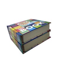 Producción Personalizada de Libros de Tapa Dura Premium con Encuadernación Plana, Ideales para la Educación Temprana Infantil y Folletos Corporativos