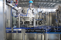 Machine automatique de remplissage de canettes de bière en aluminium