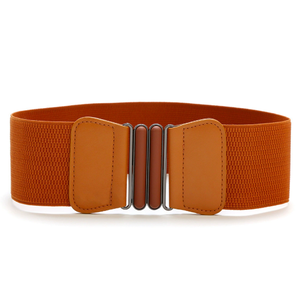 2025 Hot Sale Fashion Vintage Women's Stretchy Belts Casual Simple and Versatile Corset Waist Belt with Alloy Buckle for <b>Dresses</b> - Product Image 6