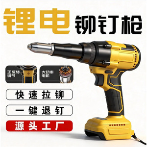 Dw Electric Rivet Gun 21V Battery Powered Automatic Core Pulling Nail Gun Professional Grade Plastic Body - Product Image 5