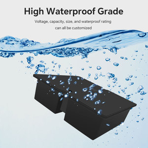 Batterie au lithium pour planche de surf 36V 30Ah, boîtier étanche, batterie lithium-ion intelligente pour bateau, planche à pagaie, bateau de pêche - Product Image 2