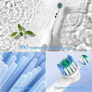 Baolijie Brosse à dents vibrante à charge Type-C, nettoyage 360 degrés, pour appareils d'hygiène buccale, modèle Bx11, personnalisable OEM - Product Image 5