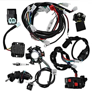 Diesel genset cable wire harness assembly supplier GY6 125cc 150cc custom electric car auto motor wiring harness