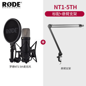 <span class=keywords><strong>Rode</strong></span> NT1 5th Large Shock Film Micrófono de condensador en forma de corazón HF6 Micrófono de condensador de estudio de grabación de oro de 1 pulgada - Product Image 4