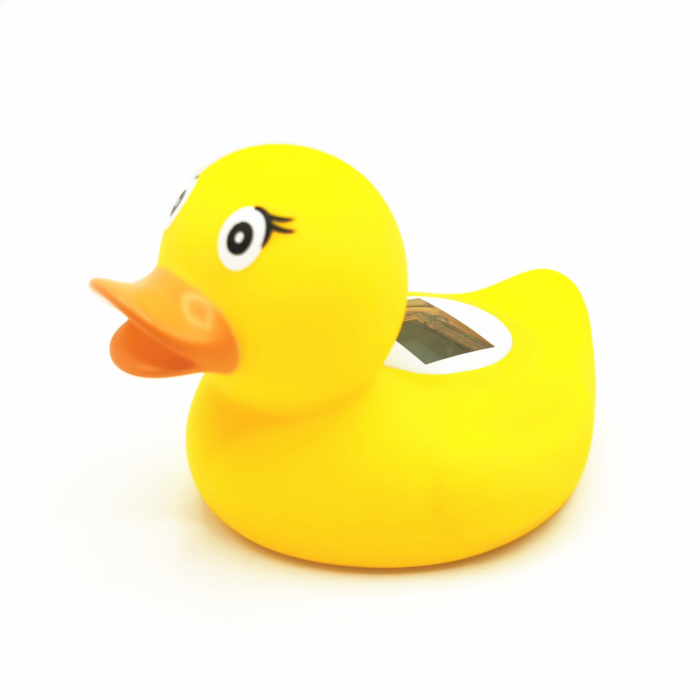 Canard jaune