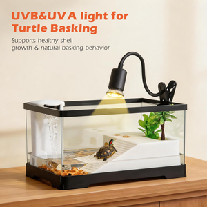 Aquarium rectangulaire moderne pour poissons et tortues, avec pompe de nettoyage et lumière écologiques, en plastique, pour chambre ou terrasse - Product Image 5