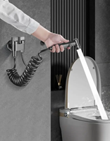 Robinet Mitigeur de Bidet Mural en Acier Inoxydable Style Moderne – Décoration Facile pour Salle de Bain et Toilettes