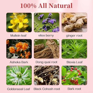 Tisane Fibroïde : Mélange Herbal Naturel pour un Soutien Doux à la Santé Reproductive – Boisson Quotidienne à Base de Plantes pour Adultes - Product Image 2