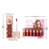Baolishi Gloss à lèvres repulpant à haute brillance Nouveau gloss à lèvres léger avec effet hydratant et hydratant Finition verre Rouge à lèvres liquide