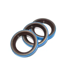 High Pressure Custom Made FKM/NBR/Silicone Radial Shaft Seal Skeleton Rubber Oil Seal Supplier