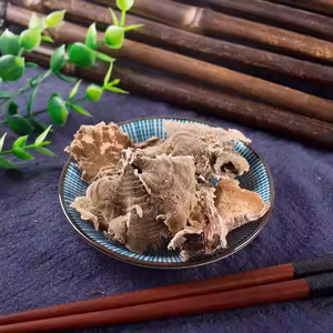 Suministro <span class=keywords><strong>de</strong></span> Fábrica: Hongo Silvestre Yunzhi Trametes Versicolor, también conocido como Coriolus Versicolor, Polyporus Versicolor, Hongo <span class=keywords><strong>Cola</strong></span> <span class=keywords><strong>de</strong></span> <span class=keywords><strong>Pavo</strong></span> - Product Image 3