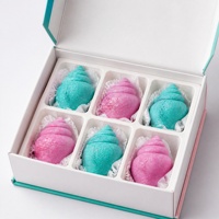 Lot de 6 bombes de bain effervescentes artisanales en coquille de coquille Saint-Jacques et eucalyptus, parfum aromatique relaxant pour spa, coffret cadeau personnalisé OEM